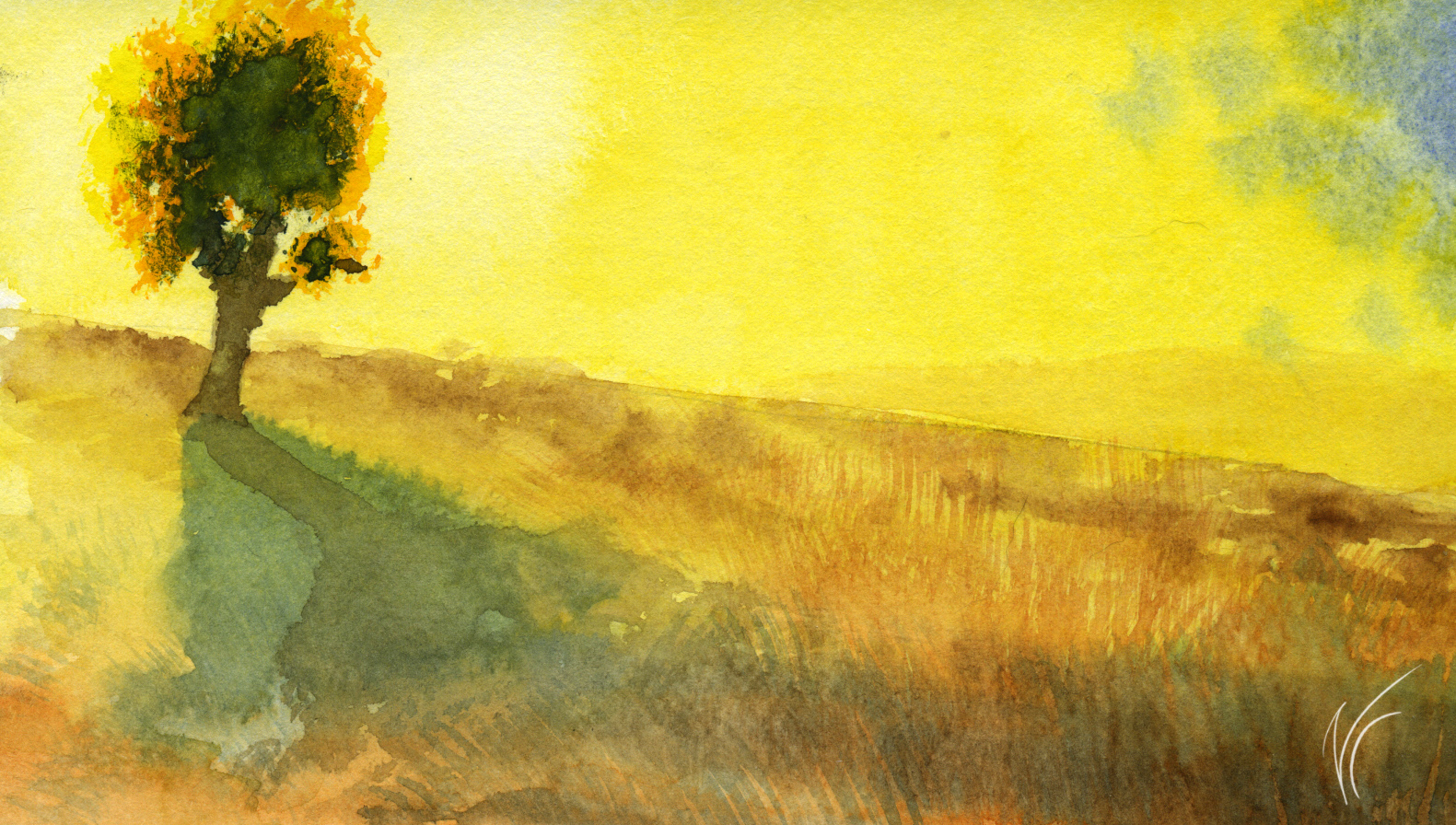 study